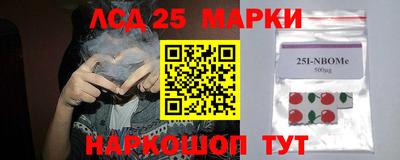 гашик Можайск
