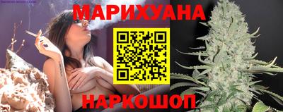 гашик Можайск
