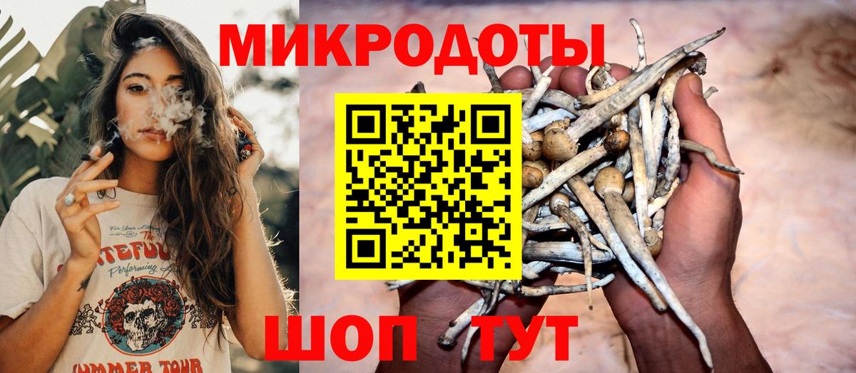 Псилоцибиновые грибы ЛСД Волгоград