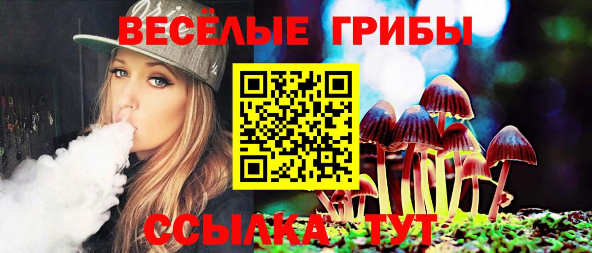 Галлюциногенные грибы ЛСД  Галлюциногенные грибы Psilocybe  Вход с VPN  Волгоград 